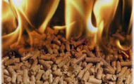 Pellet Stoves